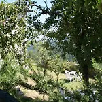 カントリーハウス Borgo Di Fonni