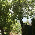 منزل ريفي Borgo Di Fonni