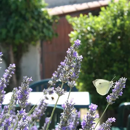 Gospodarstwo wiejskie Borgo Di Fonni