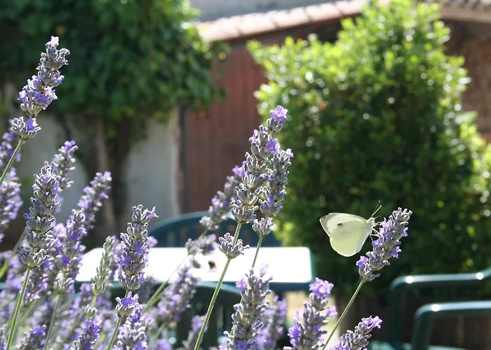 Casa de Campo Borgo Di Fonni