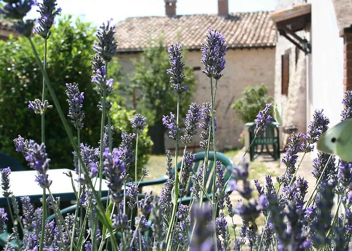 Borgo Di Fonni Sellano